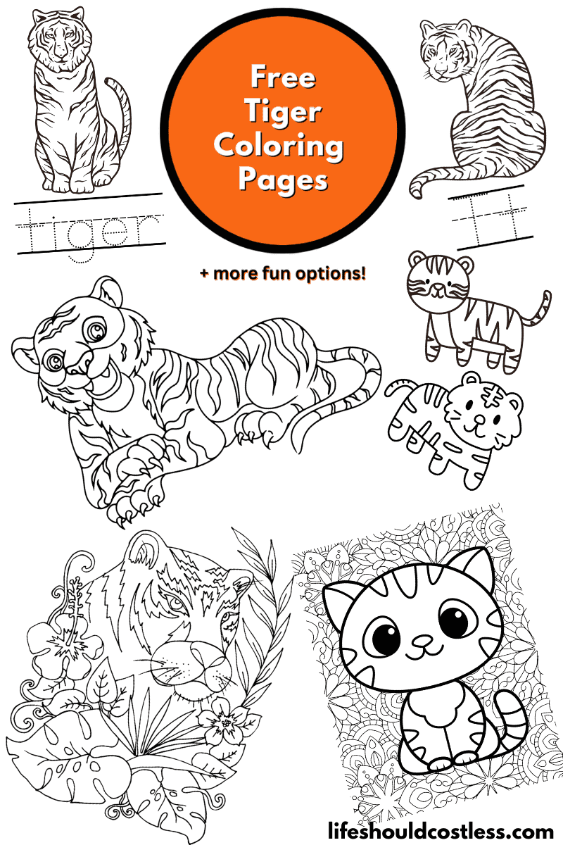 Tiger coloring pages free printable pdf templates