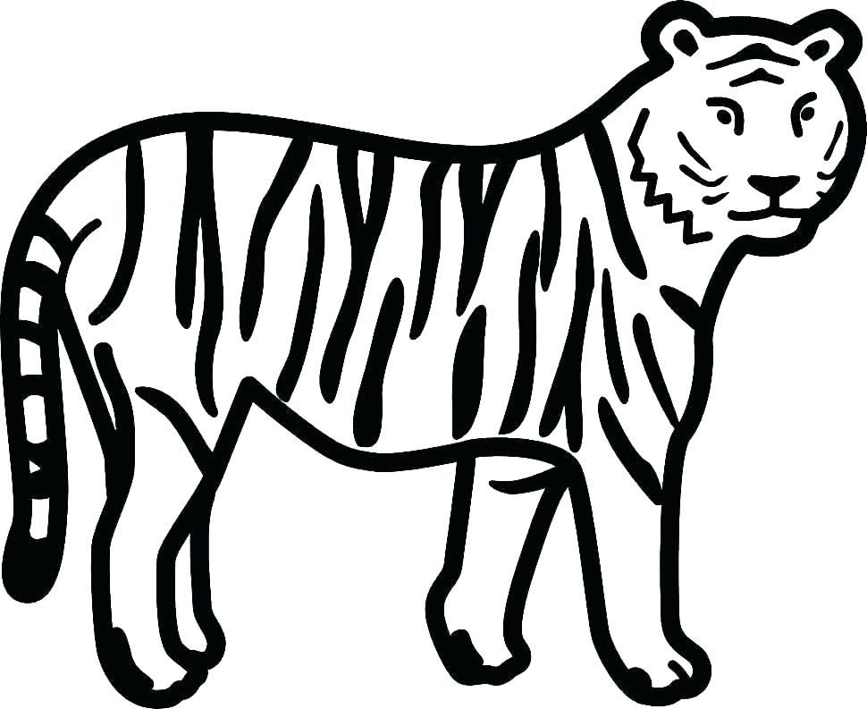 Tiger coloring pages pdf