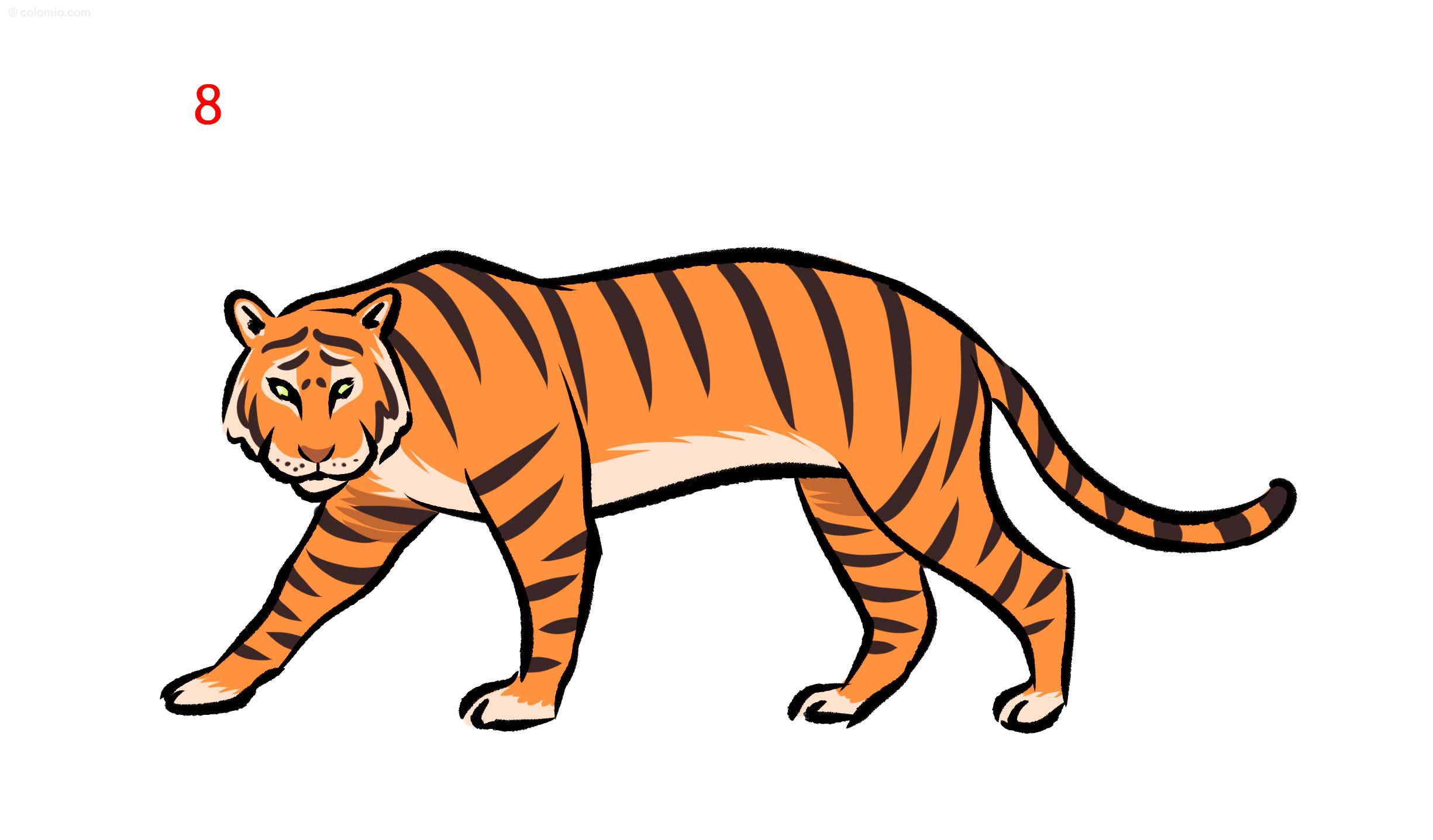 Tiger drawing ideas â how to draw a tiger