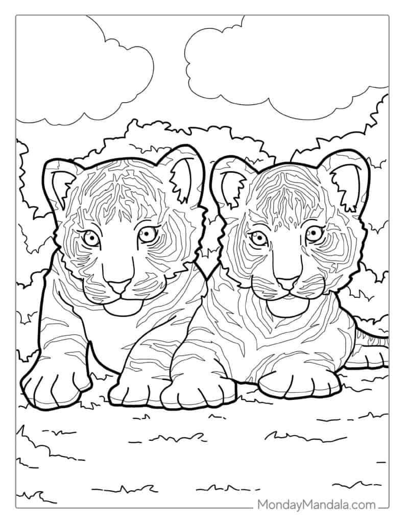 Tiger coloring pages free pdf printables