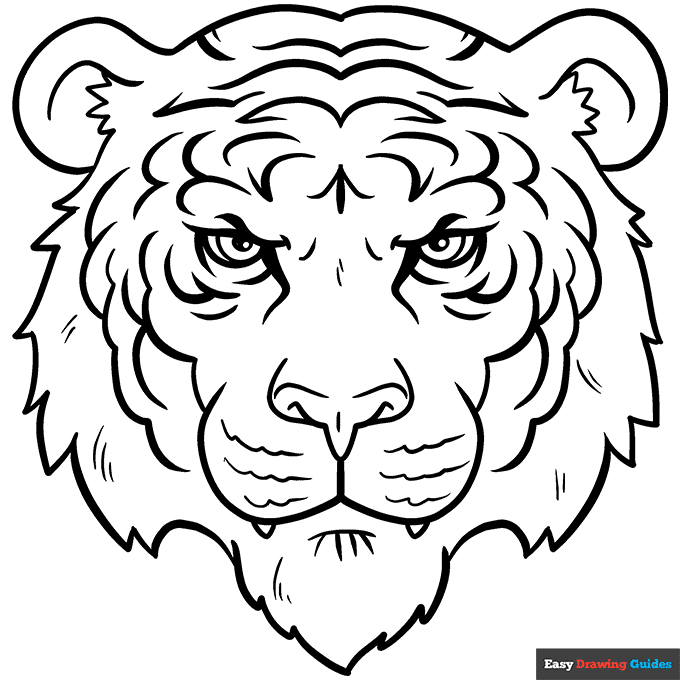 Tiger face coloring page easy drawing guides