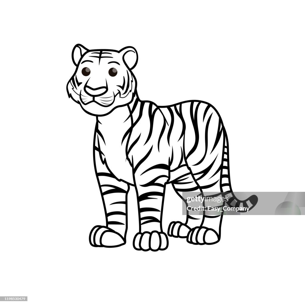 Vector illustration of tiger isolated on white background for kids coloring book high