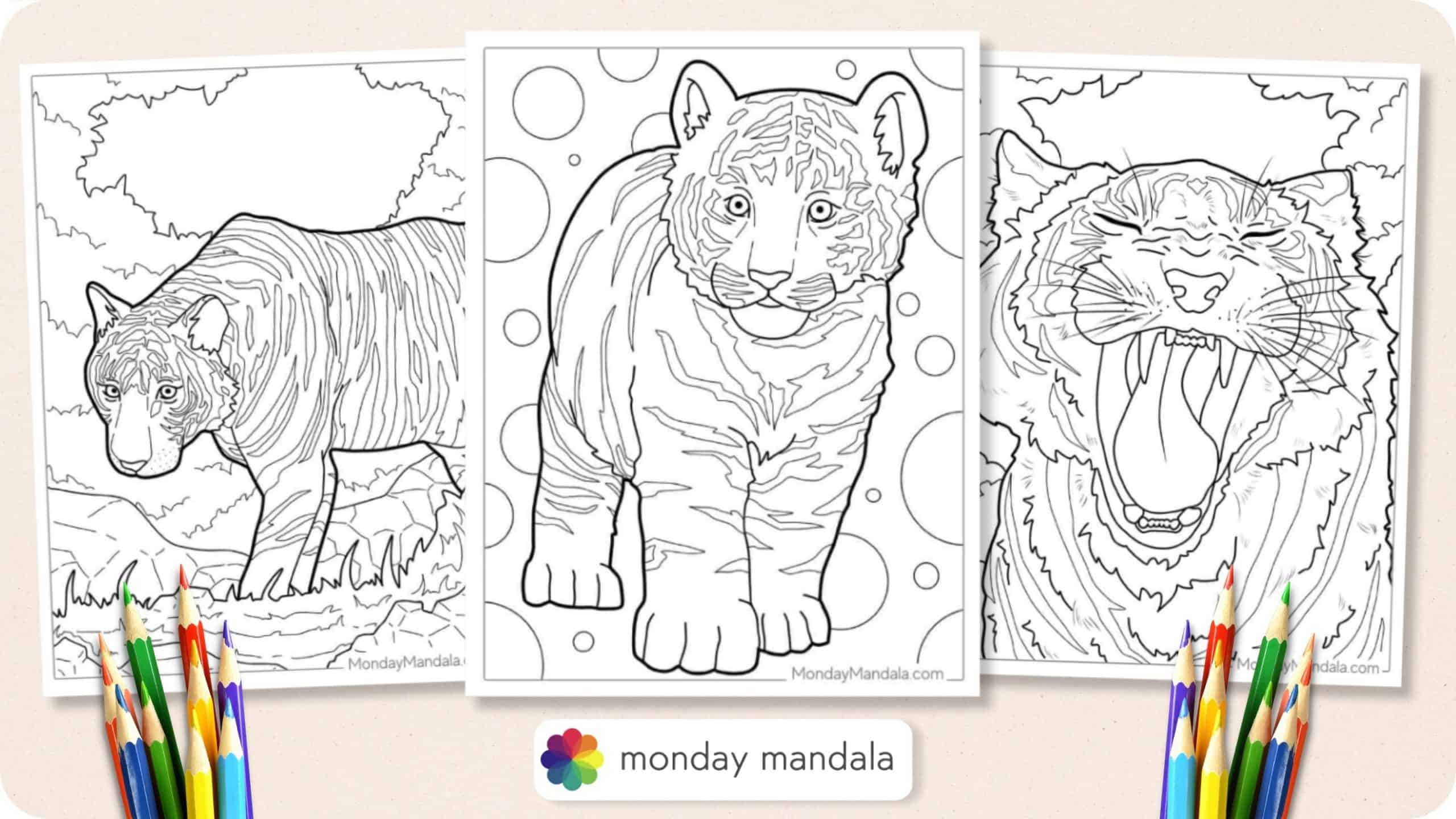 Tiger coloring pages free pdf printables