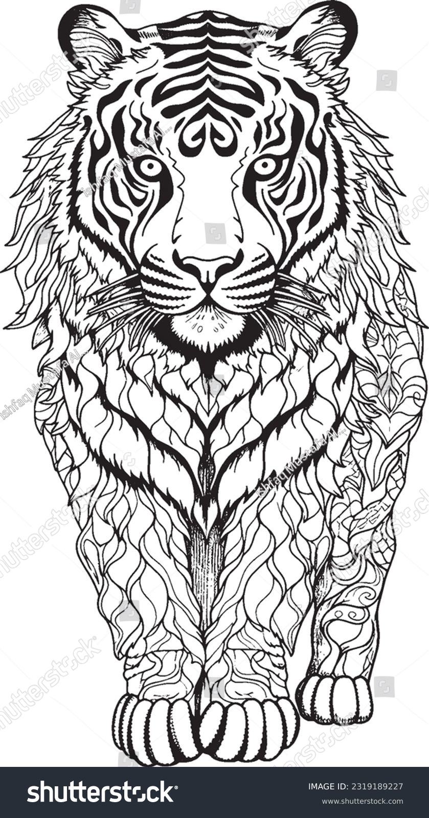 Tiger adult coloring images stock photos d objects vectors