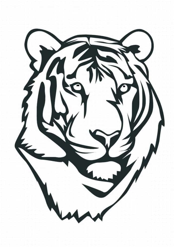 Stunning tiger coloring pages