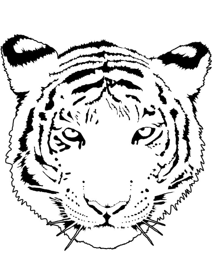 Tiger face coloring page