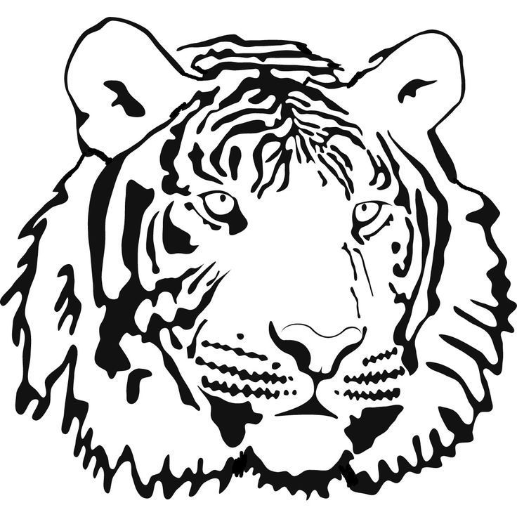 Tiger coloring pages easy shark coloring pages coloring pages tiger face