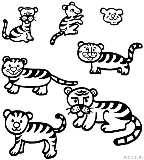 Tiger and tiger face colorg pages