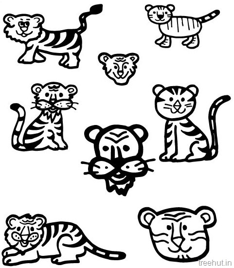 Tiger and tiger face colorg pages