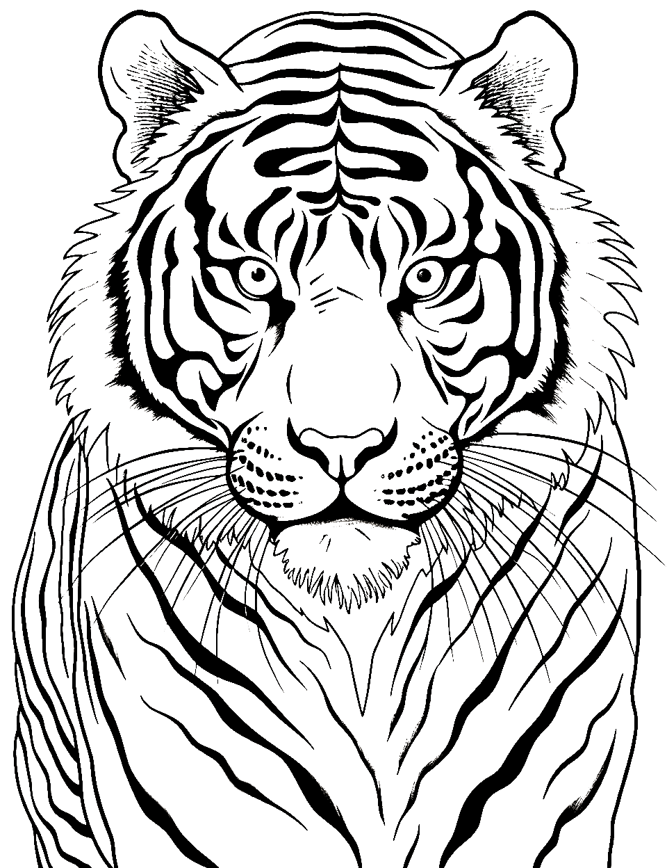 Tiger coloring pages free printable sheets