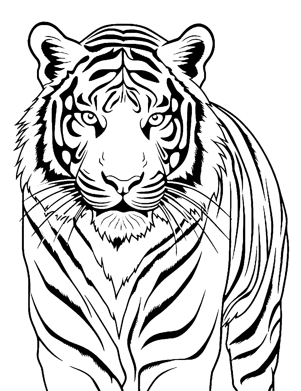 Tiger coloring pages free printable sheets