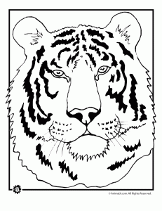 Tiger coloring pages animal jr