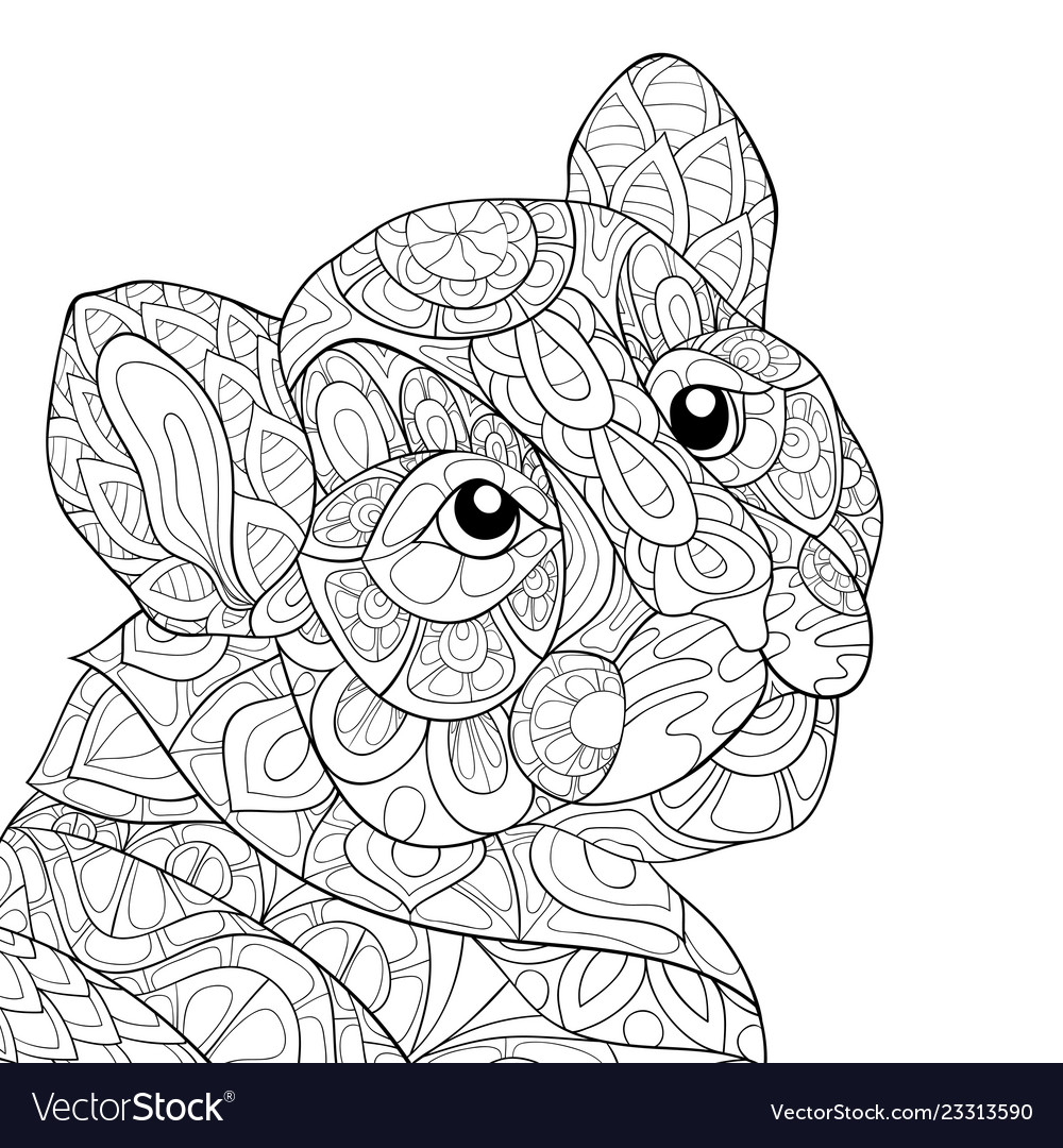 Adult coloring bookpage a cute tiger image vector image