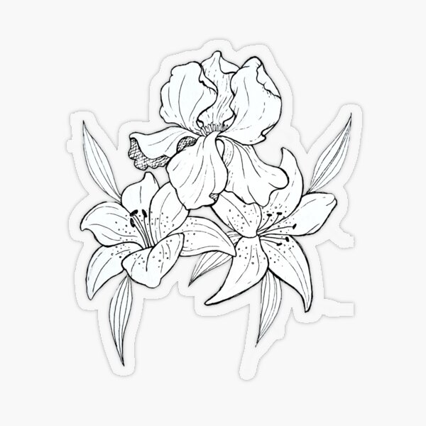 Iris and tiger lilies green background sticker for sale by amy josephine