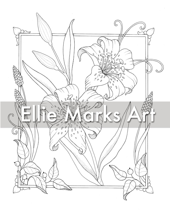 Tiger lily coloring page