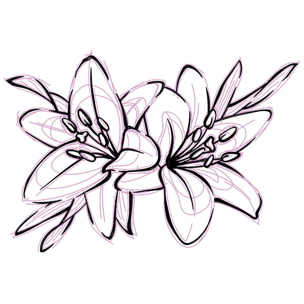 Sketched tiger lily svg dxf cutting machine laser cutting designs craft genesis