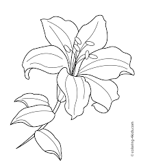 Image result for dibujos de flores flower coloring pages printable flower coloring pages lilies drawing