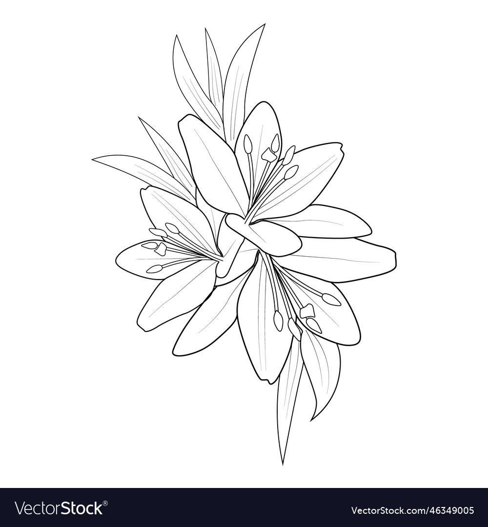 Peter pan tiger lily coloring pages royalty free vector