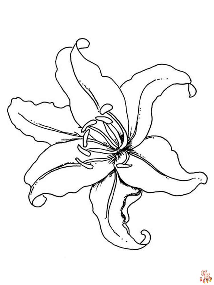 Discover the beauty of lilies with free printable coloring pages