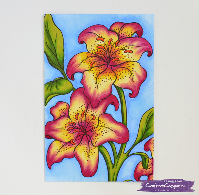 Springtime lily card from an adult coloring page â annie williams