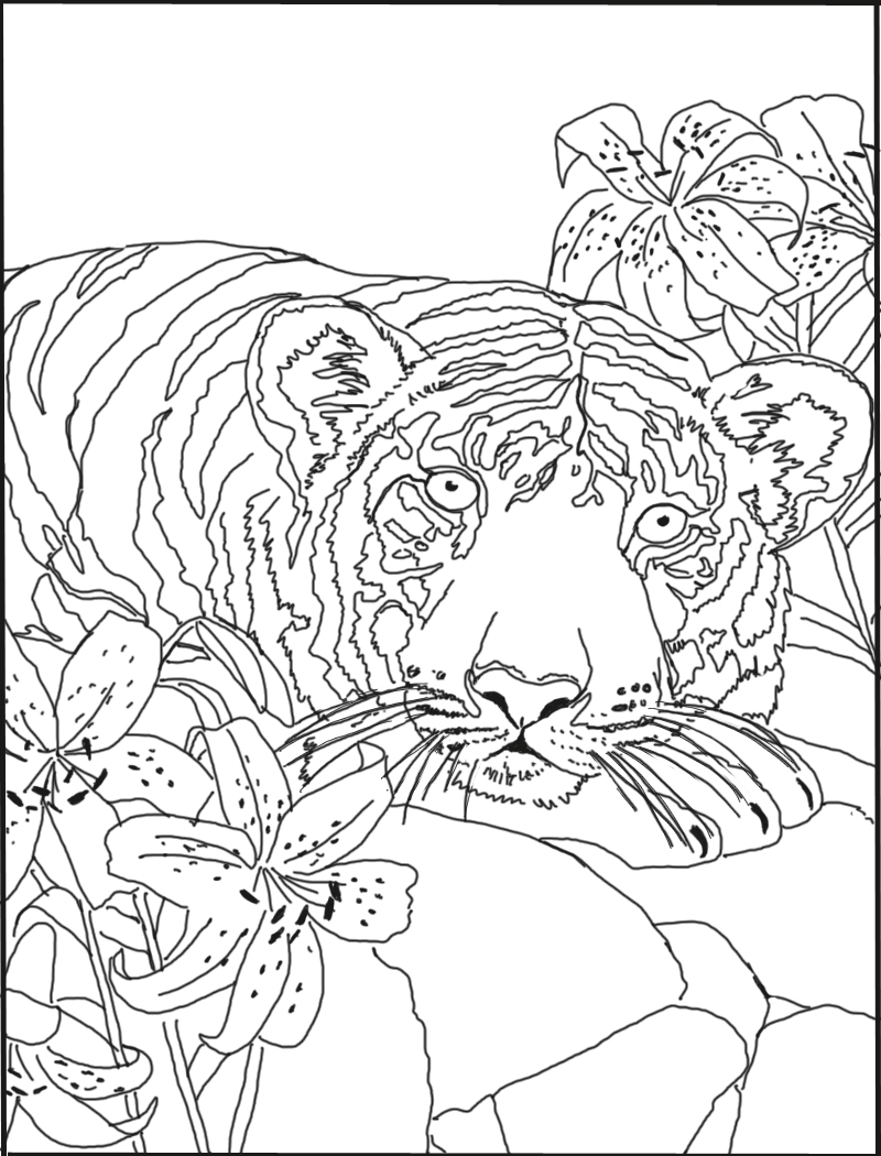 Lily coloring pages