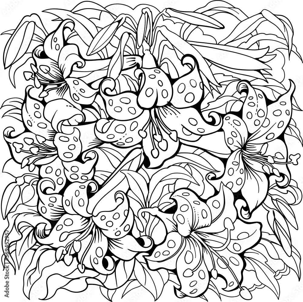 Tiger lily flowers line art drawing coloring page vector