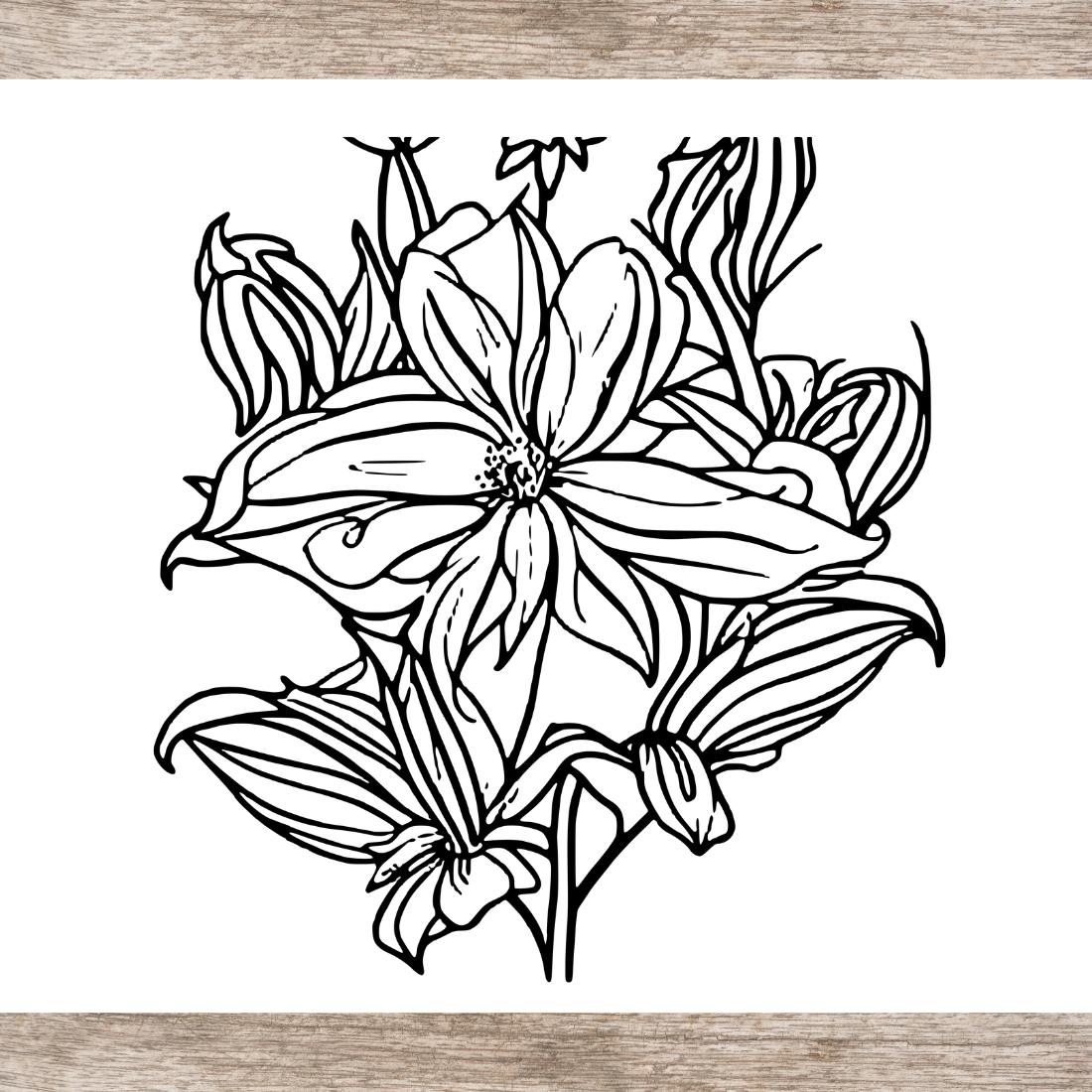 Flower drawing floral coloring pages bundle for adults svg and png for kdp low content self