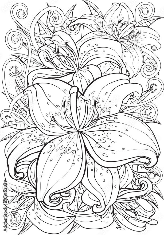 Adult coloring book â illustration tattoo set tiger lily vector illustration vector