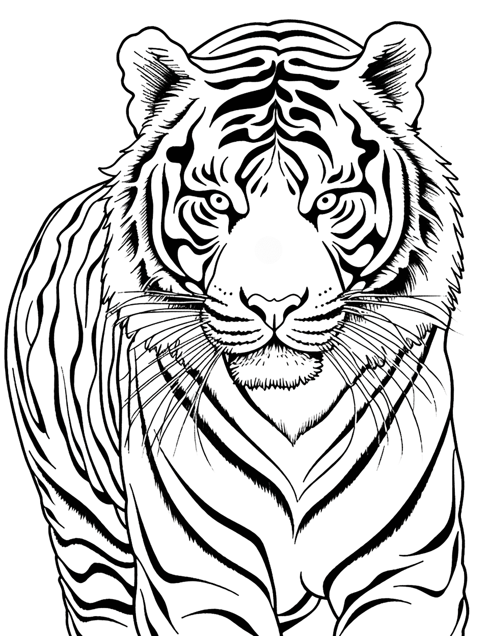 Tiger coloring pages free printable sheets