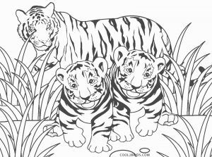 Free printable tiger coloring pages for kids coolbkids tiger drawing coloring pages tiger pictures