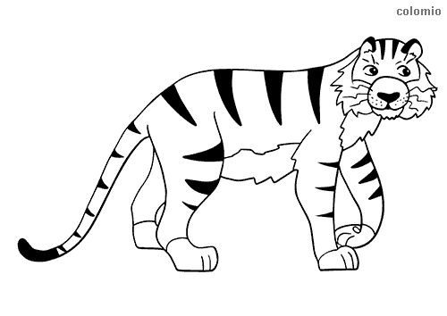 Tigers coloring pages free printable tiger coloring sheets