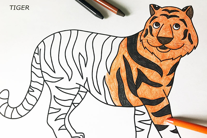 Tiger free printable templates coloring pages