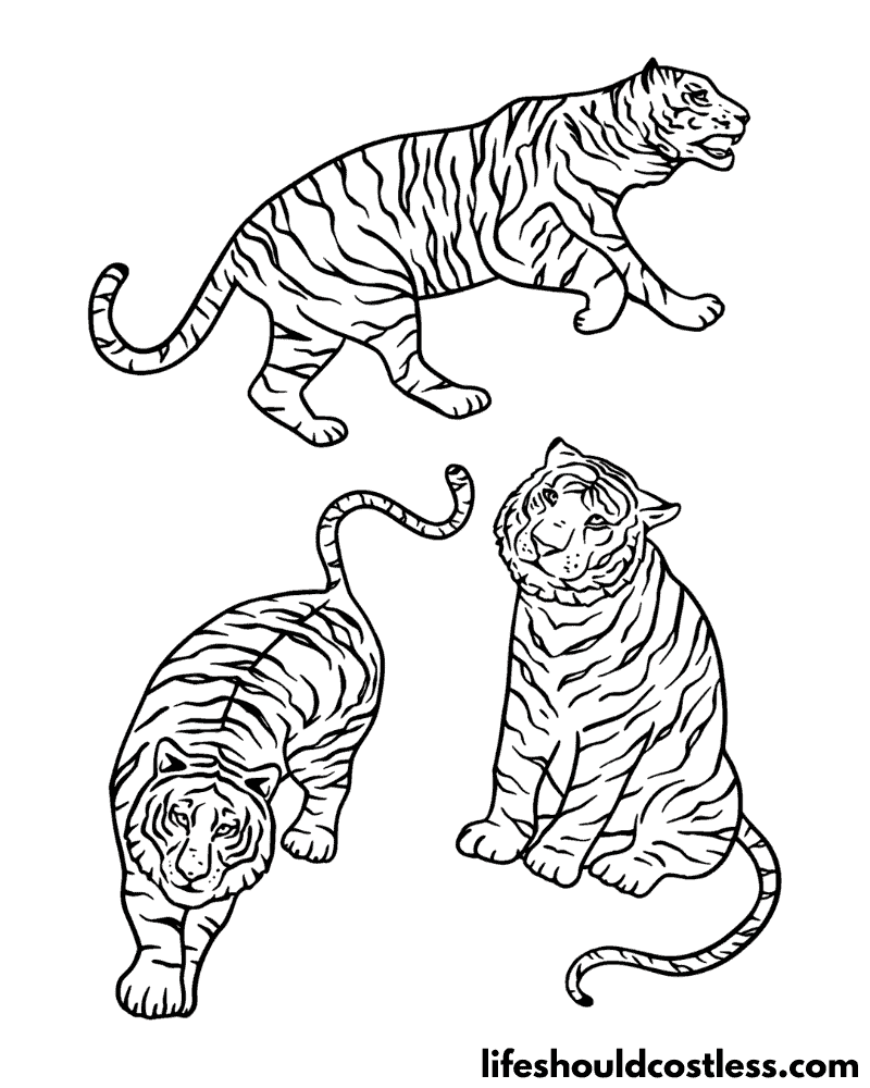 Tiger coloring pages free printable pdf templates