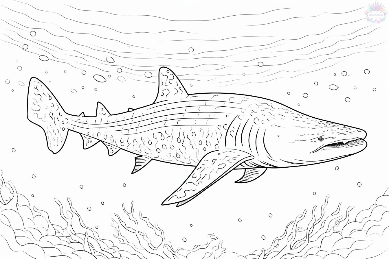 Shark coloring pages