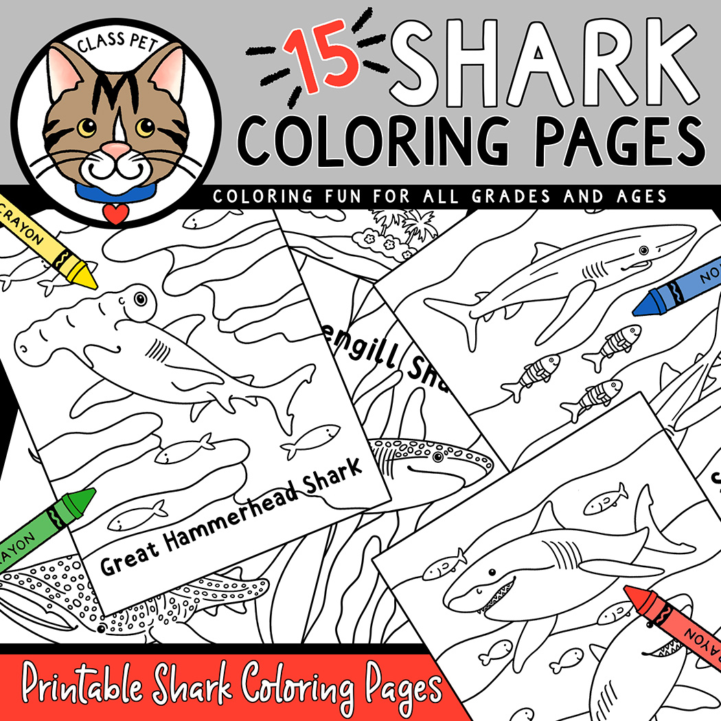 Shark coloring pages made by teachers