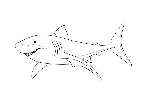 Page tiger shark cartoon images