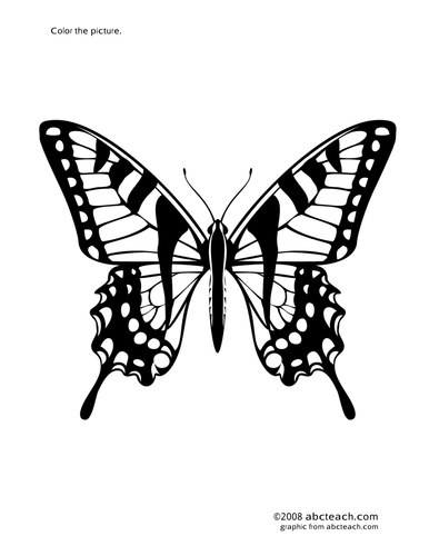 Coloring page tiger swallowtail butterfly teaching resources