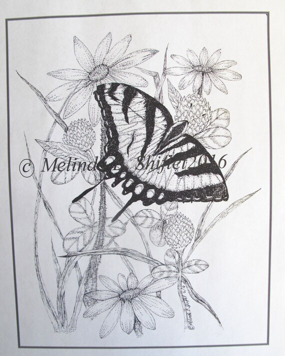 Butterfly coloring page of tiger swallowtail hand drawn with pen and ink swallowtail summer