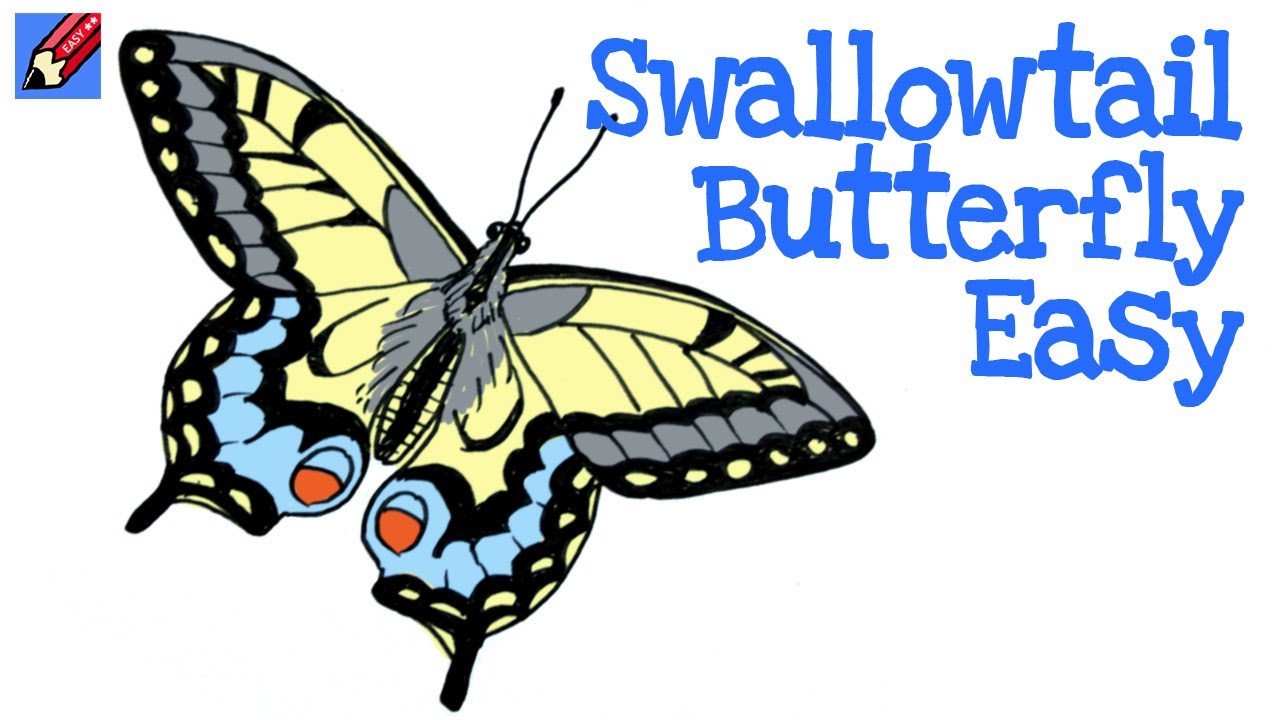 Draw a swallowtail butterfly real easy