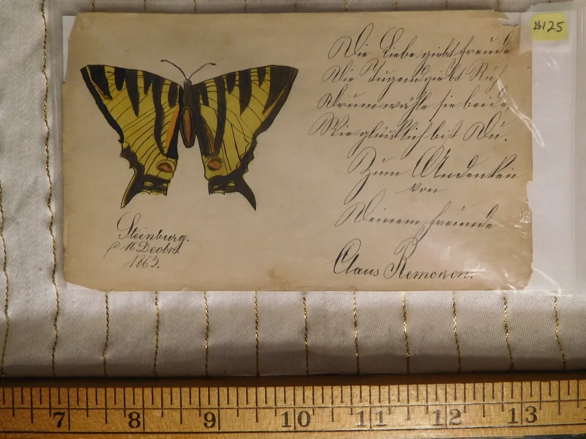 Antique hand drawn eastern tiger swallowtail butterfly color drawing