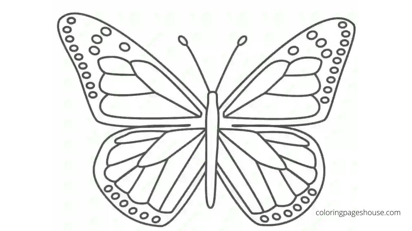 Techno gamer on x butterfly coloring page follow us to get more free printable coloring pages httpstcoraguvlyxt coloring coloringbook coloringpages printable butterfly coloringpageshouse httpstcokykptudrp x