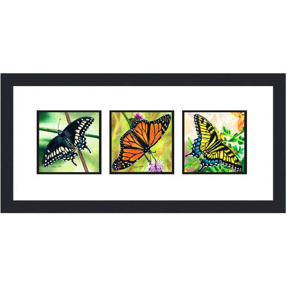 Butterfly drawing art prints colored pencil black swallowtail monarch tiger swallowtail butterflies nature wildlife decor garden artwork