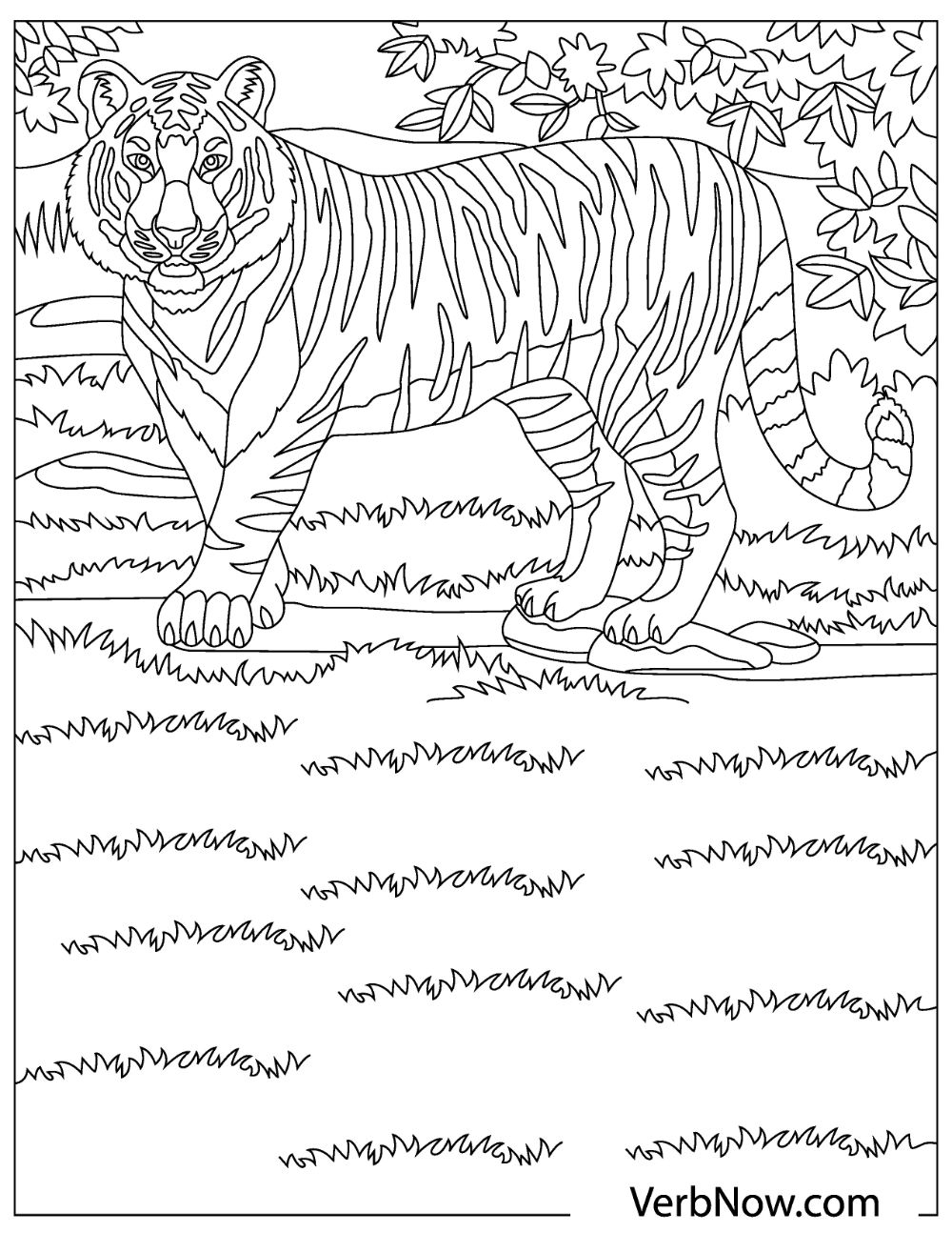 Free tiger coloring pages for download pdf