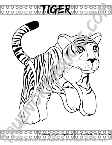 Tiger coloring page