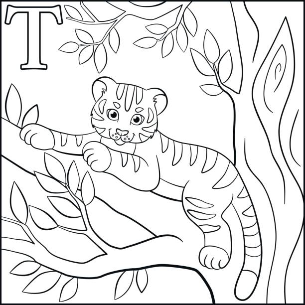 Tiger coloring stock photos pictures royalty