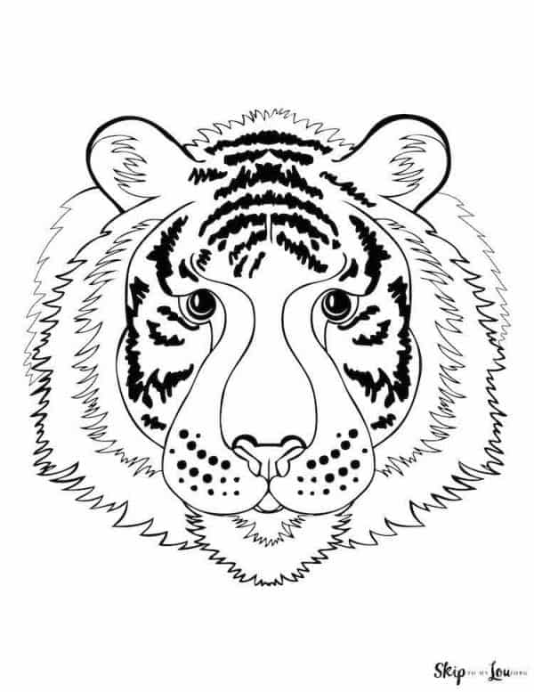 Tiger coloring pages skip to my lou