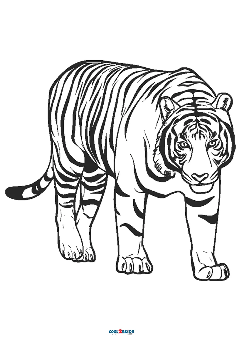 Free printable tiger coloring pages for kids