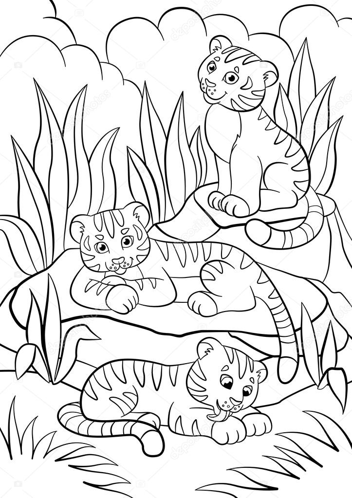 Coloring pages wild animals three little cute baby tigers stock vector by ya