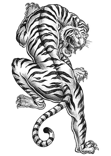 Free tiger coloring page to print adult coloring pages tatuagem de tigre japonãªs desenho de tatuagem de tigre tatoo d