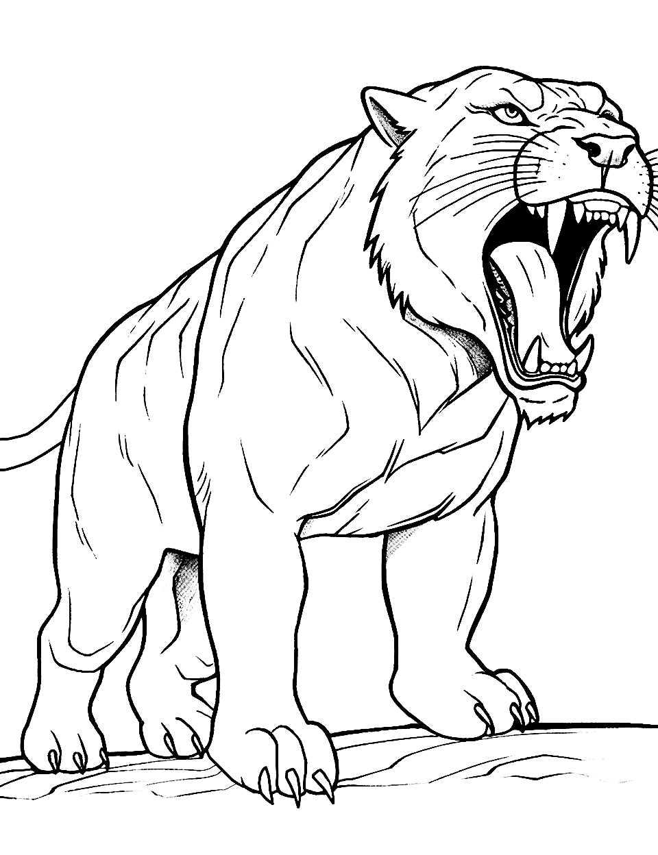 Tiger coloring pages free printable sheets